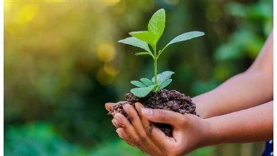 أبرزها زراعة 100 مليون شجرة، جهود وزارة البيئة تزامنًا مع الاحتفال بها (إنفوجراف)
