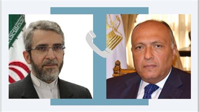 وزير خارجية إيران ينقل رسالة شكر من بلاده إلى الرئيس السيسي 