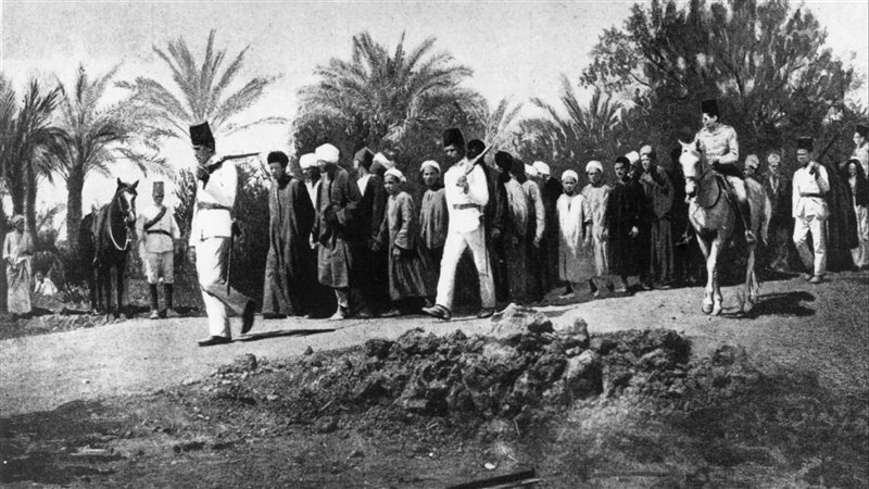 حادث دنشواي، فيتو