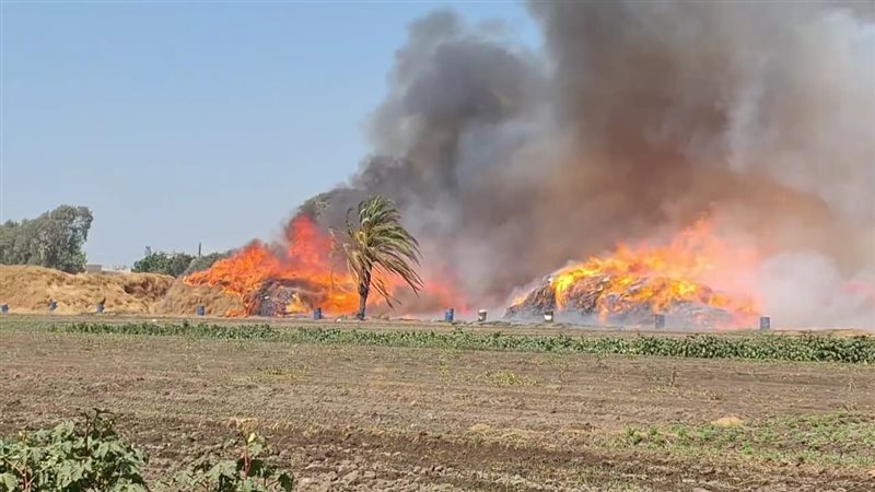 حريق إلتهم شونة كتان