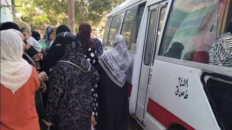 حملة حقك تنظمي بالإسماعيلية،