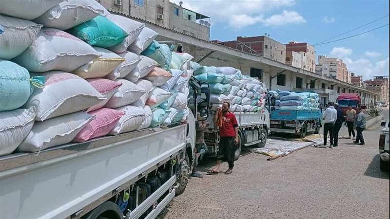 تموين الدقهلية، فيتو