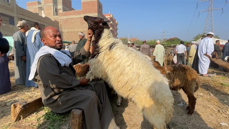 الأضحية، فيتو
