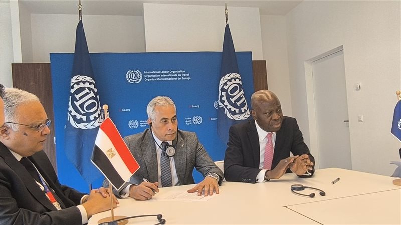حسن شحاتة وزير العمل،