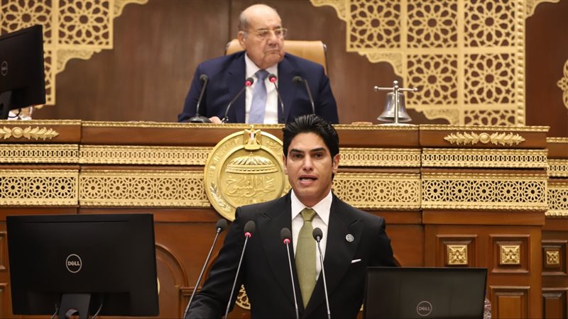 مجلس الشيوخ، فيتو