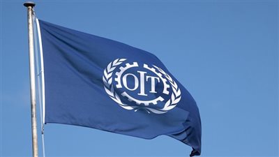 العمل الدولية: انخفاض معدل البطالة العالمي إلى 4.9% (فيديو)