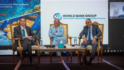 إطلاق تقرير تحليل البيئة القطري 2024، توفير حوافز لإنتاج الطاقة المتجددة «الأبرز» 