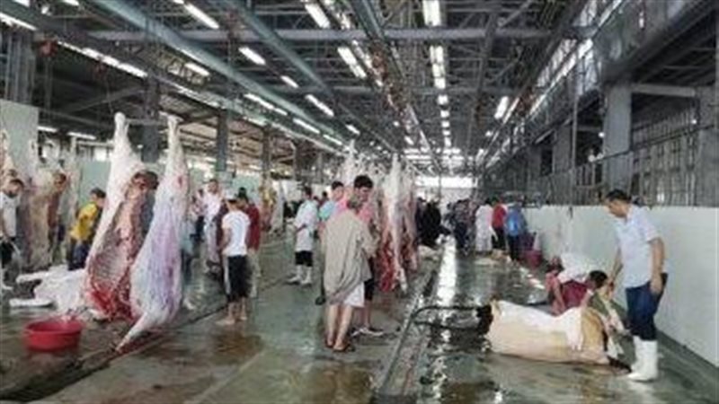 مجازر القاهرة، فيتو