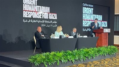 وزير الخارجية يؤكد ضرورة تعامل المجتمع الدولي مع أولويات التعافي المبكر في غزة (صور)