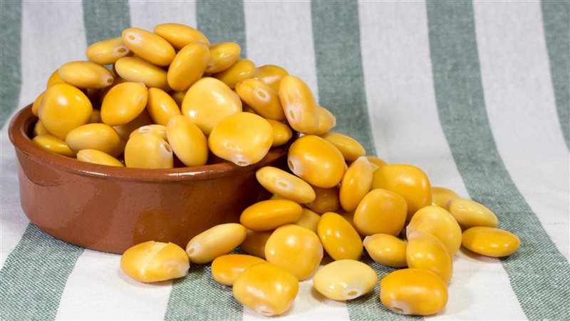 فوائد الترمس