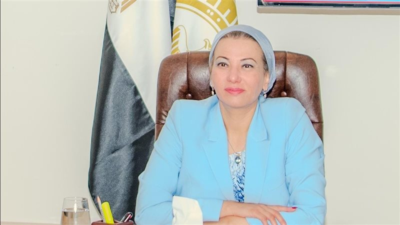 ياسمين فؤاد وزيرة