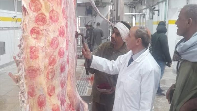 جاهزية المجازر بأسيوط،