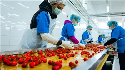 غرفة الصناعات الغذائية تكشف عن فرص تصديرية إلى أوغندا
