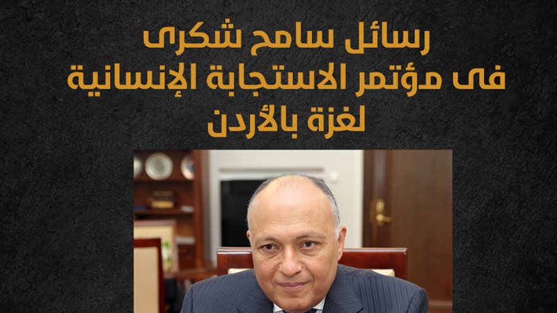 سامح شكرى وزير الخارجية،