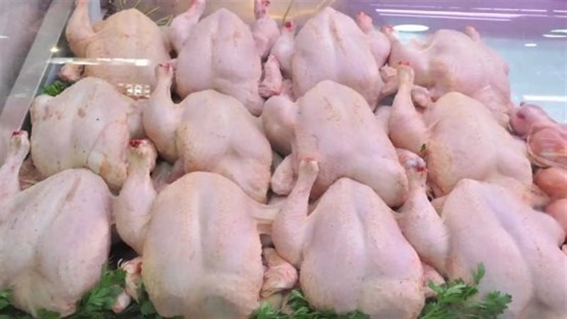 اللحوم البيضاء،فيتو