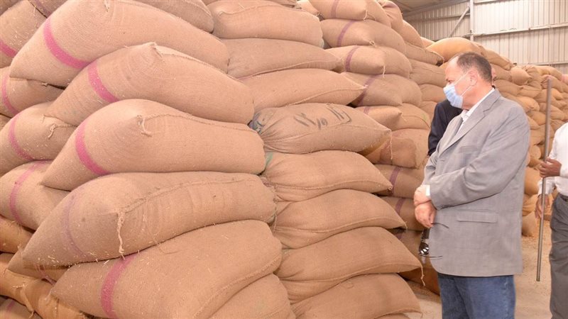 عملية توريد القمح