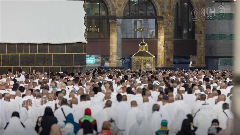 الحجاج، فيتو