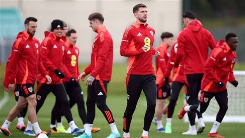 منتخب بولندا، فيتو