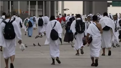 اليوم، مصر للطيران تنظم 8 رحلات جوية لنقل حجاج بيت الله الحرام إلى أرض الوطن