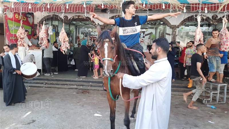 بالمزمار البلدي والحصان
