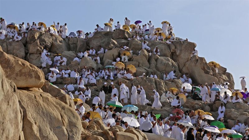 حجاج ، فيتو