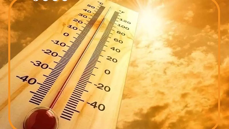 حالة الطقس، فيتو