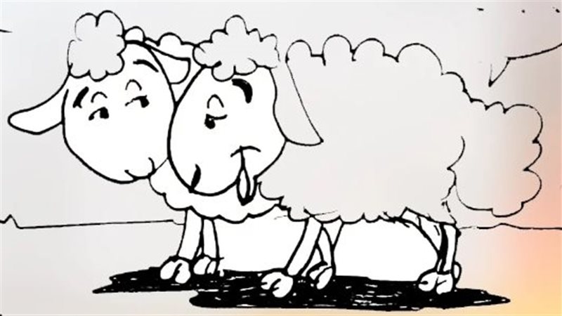 خروف العيد في كاريكاتير