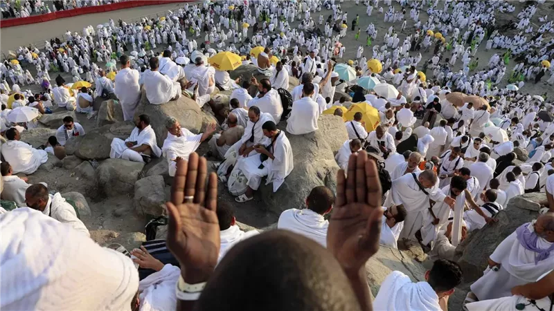 حجاج بيت الله، فيتو