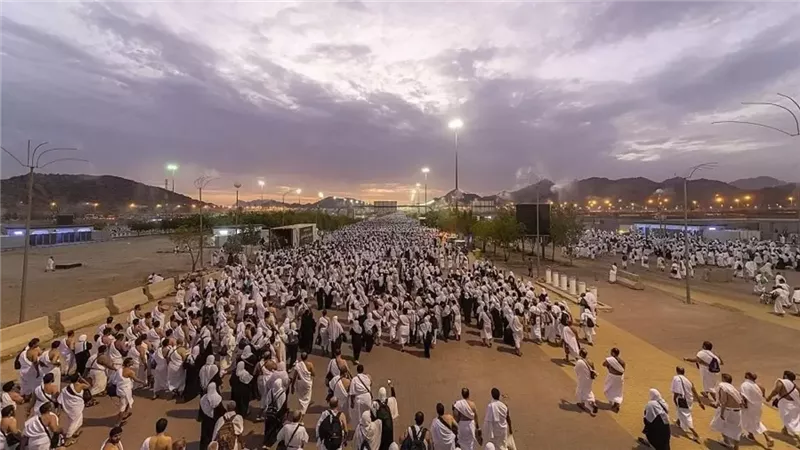 حجاج، فيتو 