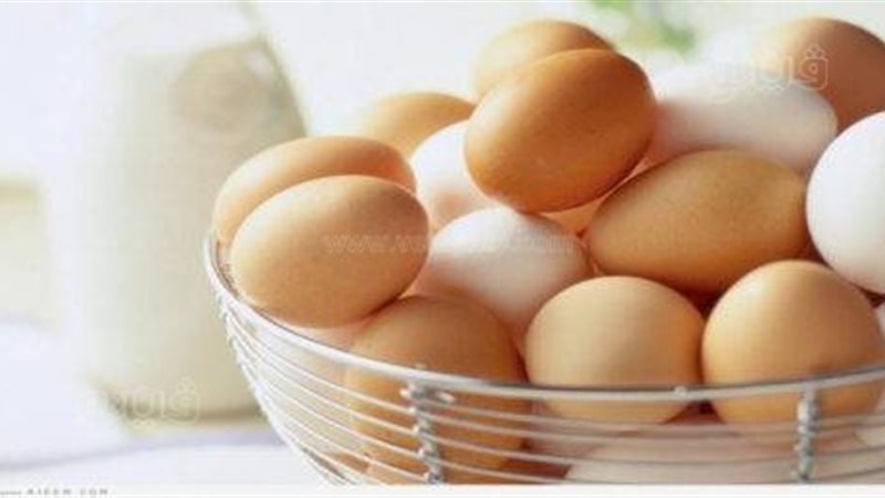 أسعار البيض اليوم،