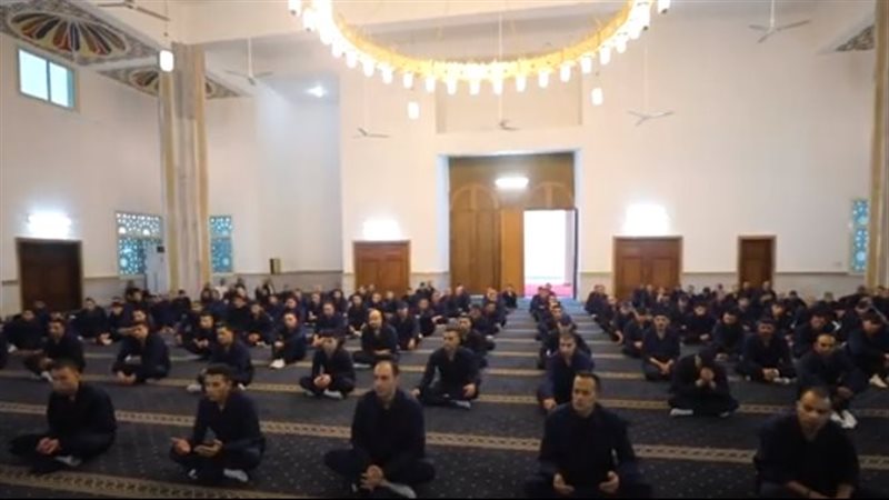  مراكز الإصلاح والتأهيل،فيتو