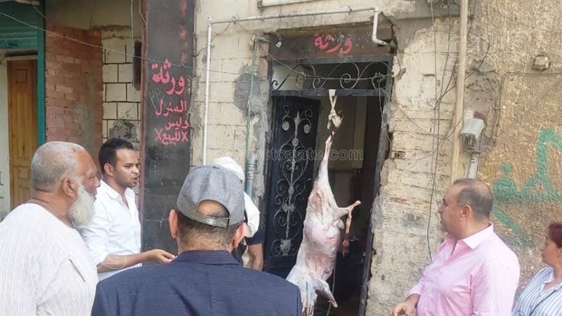 ضبط مخالفة ذبح اضحية
