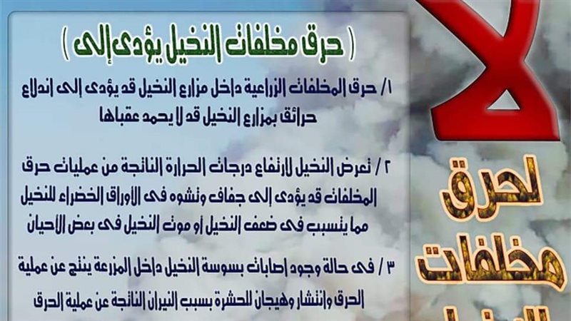 لا لحرق مخلفات النخيل،