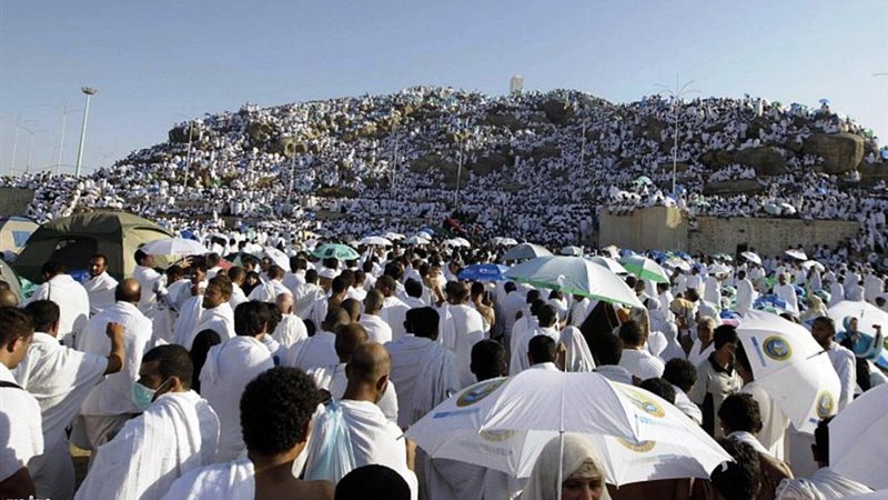 موسم الحج 2024,فيتو