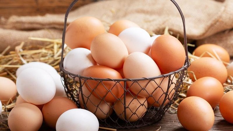 أسعار البيض اليوم،
