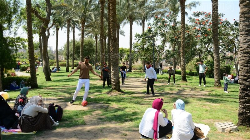 احتفالات العيد
