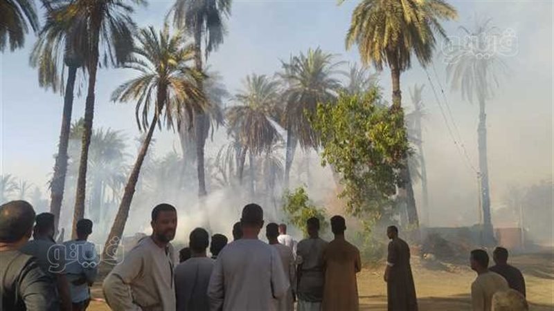 حريق، فيتو