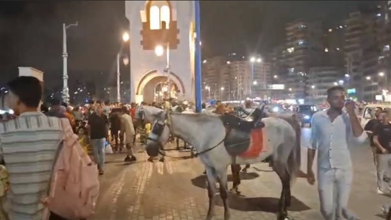 كوبري وممشى ٤٥ بالإسكندرية،
