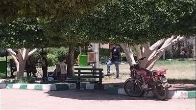 حديقة شجرة الدر بالمنصورة تستقبل 22 ألف زائر في عيد الأضحى (صور) 