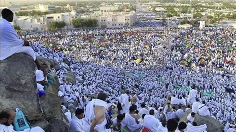 13 حالة وفاة لحجاج
