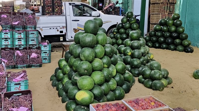 أسعار الفاكهة اليوم،