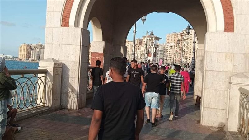 أهالي الإسكندرية