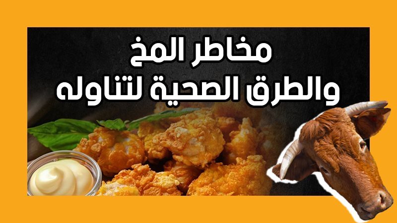 المخ،فيتو