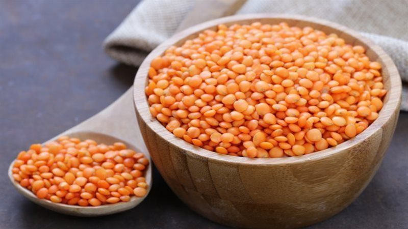 أسعار العدس اليوم،
