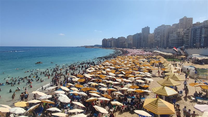 الإسكندرية 