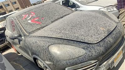 الفئات الممنوعة من دخول مزاد سيارات جمارك مطار القاهرة