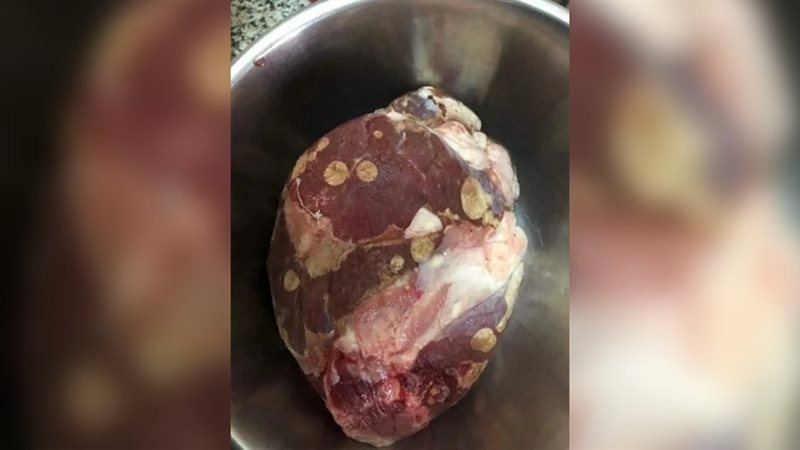  ظهور البقع البيضاء