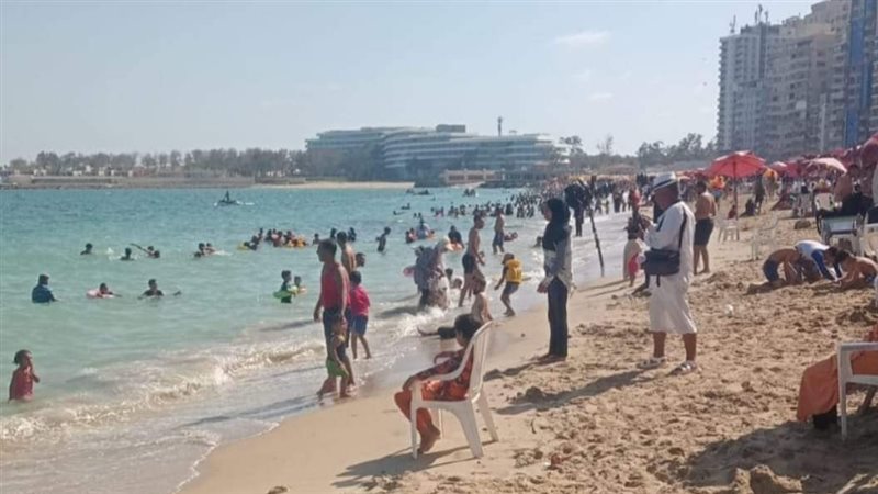 الاسكندرية،فيتو