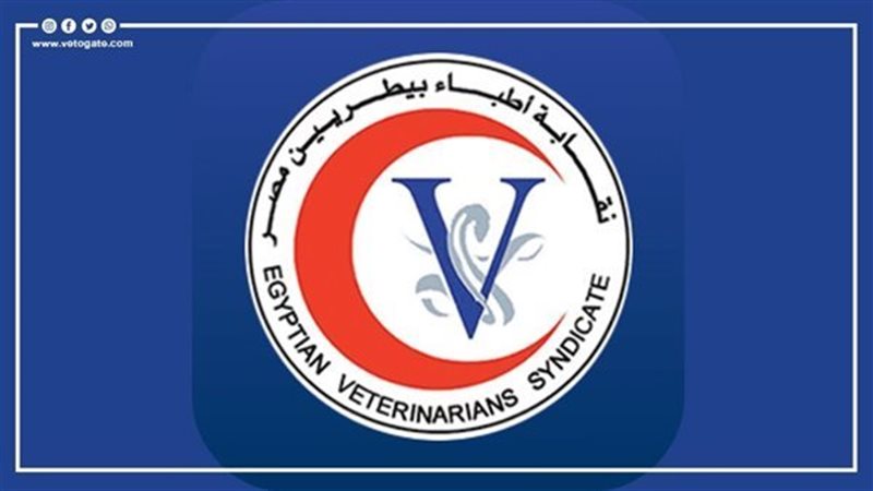 نقابة أطباء بيطريين