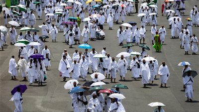  تكثيف رحلات نقل حجاج السياحة واستعدادات مكثفة للتصعيد إلى جبل عرفات